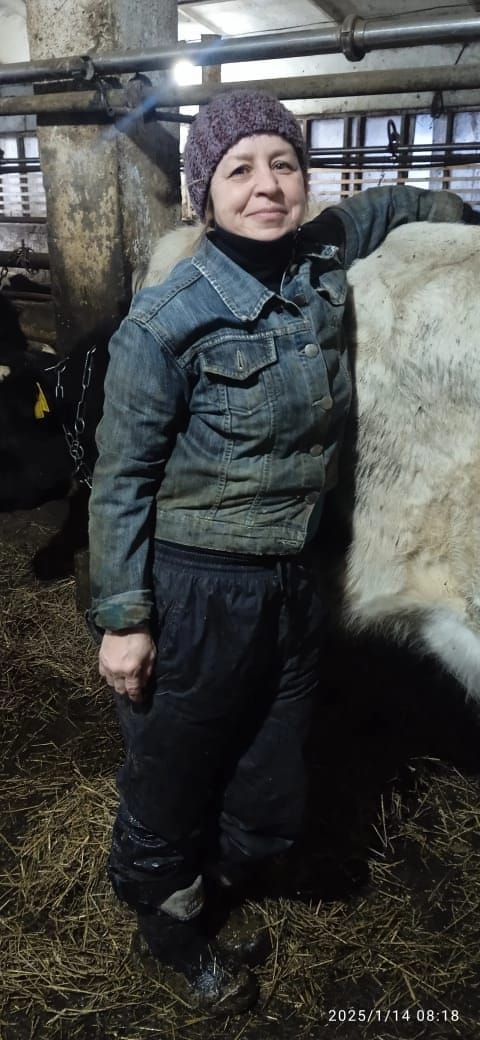 Авыл хуҗалыгының сөт җитештерү буенча еллык күрсәткечләре