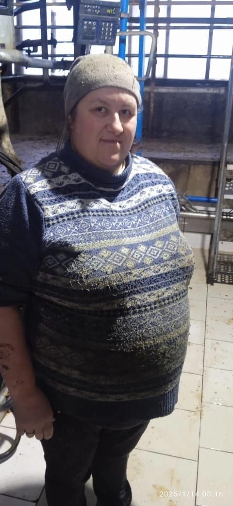 Авыл хуҗалыгының сөт җитештерү буенча еллык күрсәткечләре