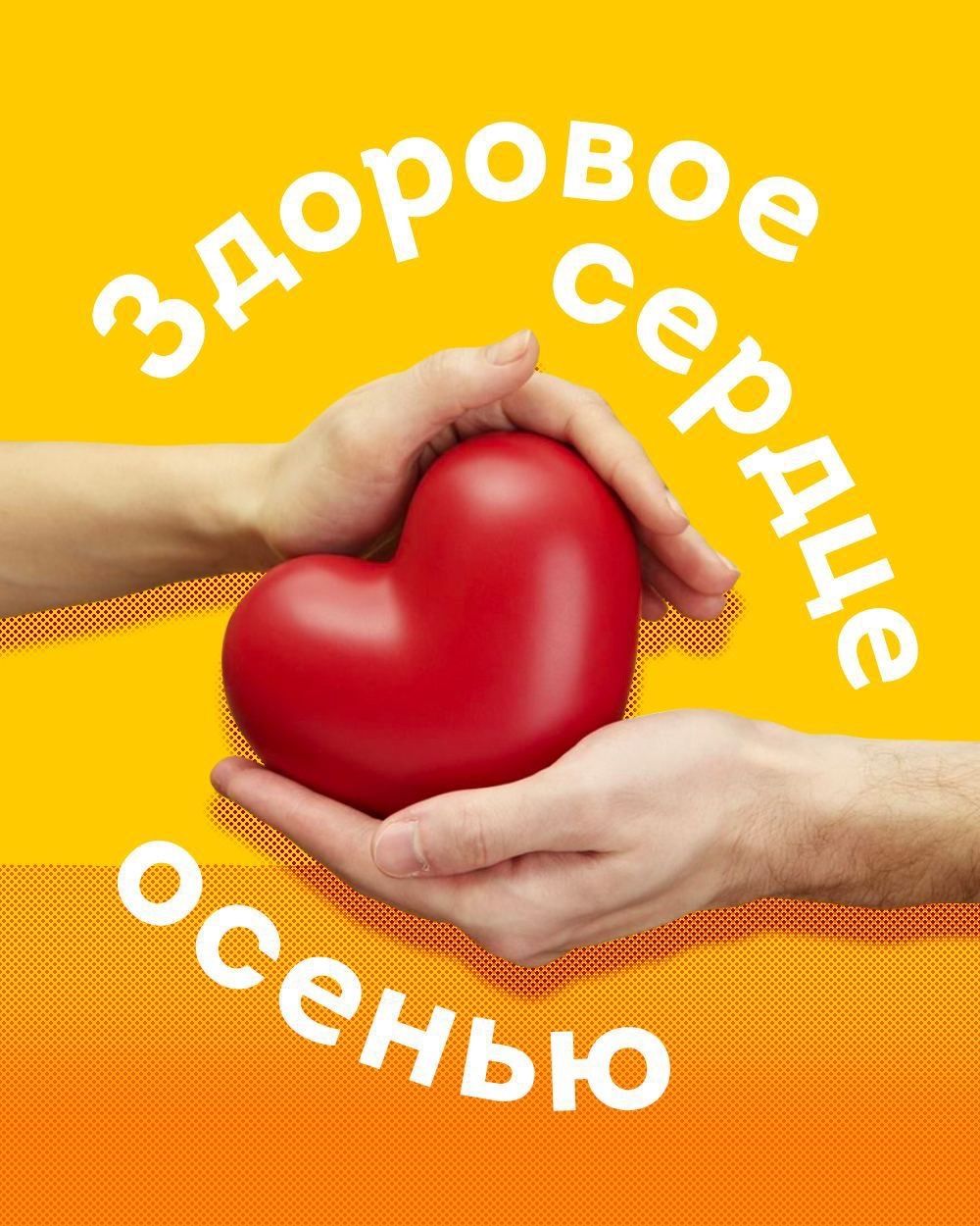 Неделя заботы о сердце: план полезных привычек для здоровья