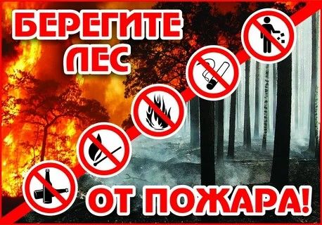 В Татарстане объявлен высший уровень пожарной опасности