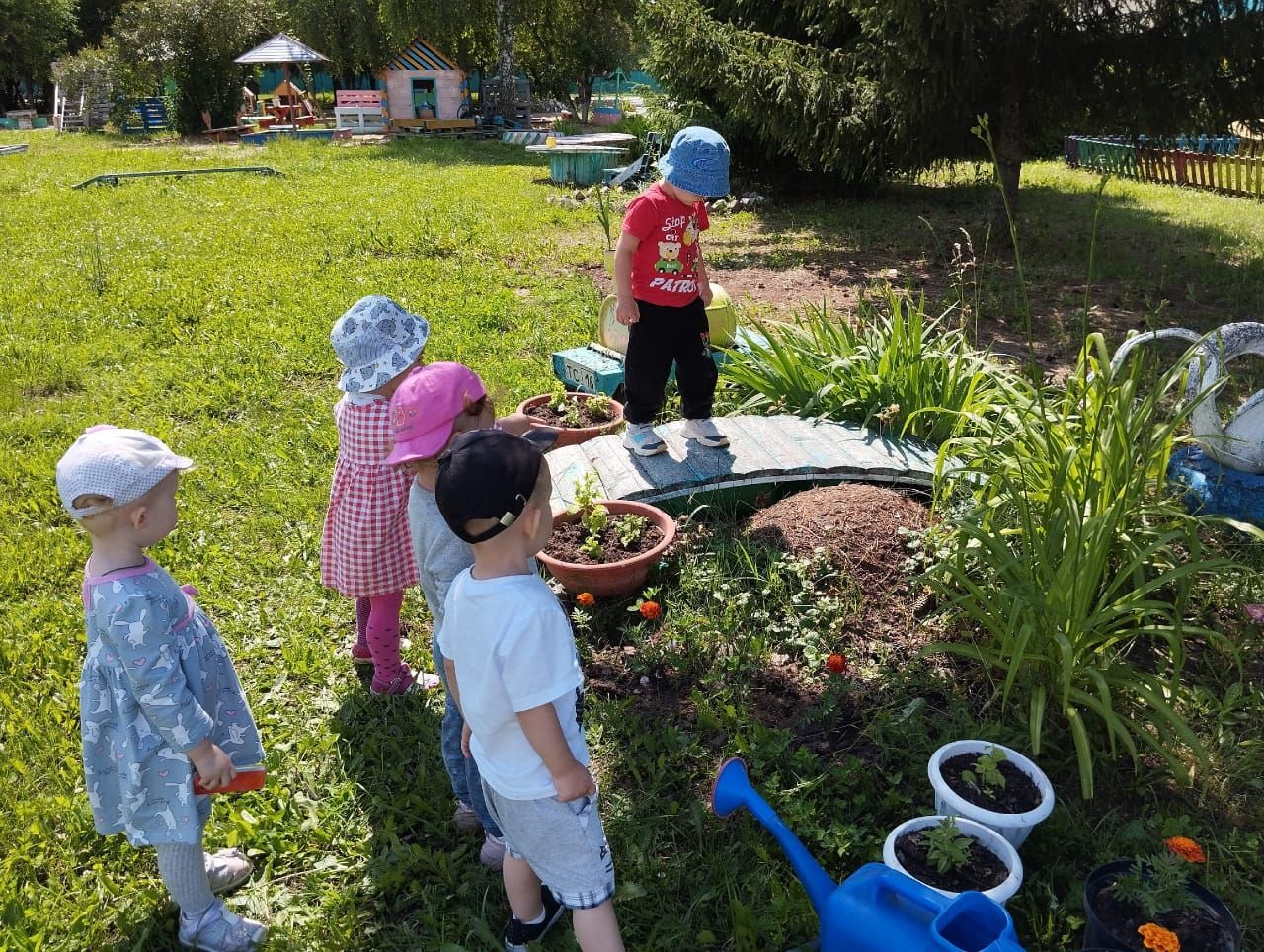 «Каенкай» балалар бакчасында бөҗәкләр дөньясын өйрәнделәр