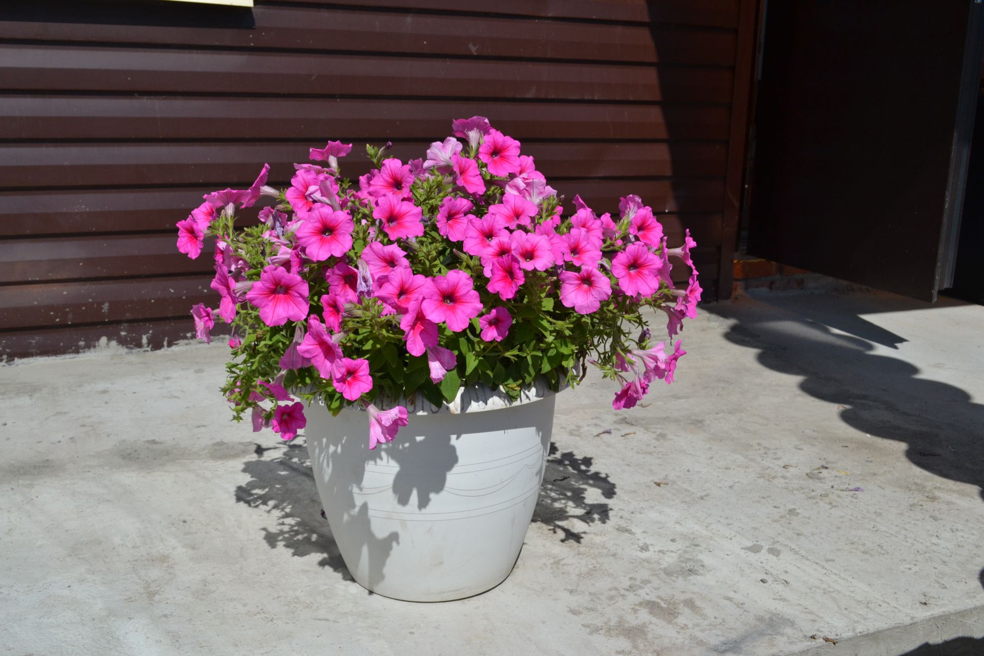 «Семейный очаг» - пусть каждый почувствует себя, как дома