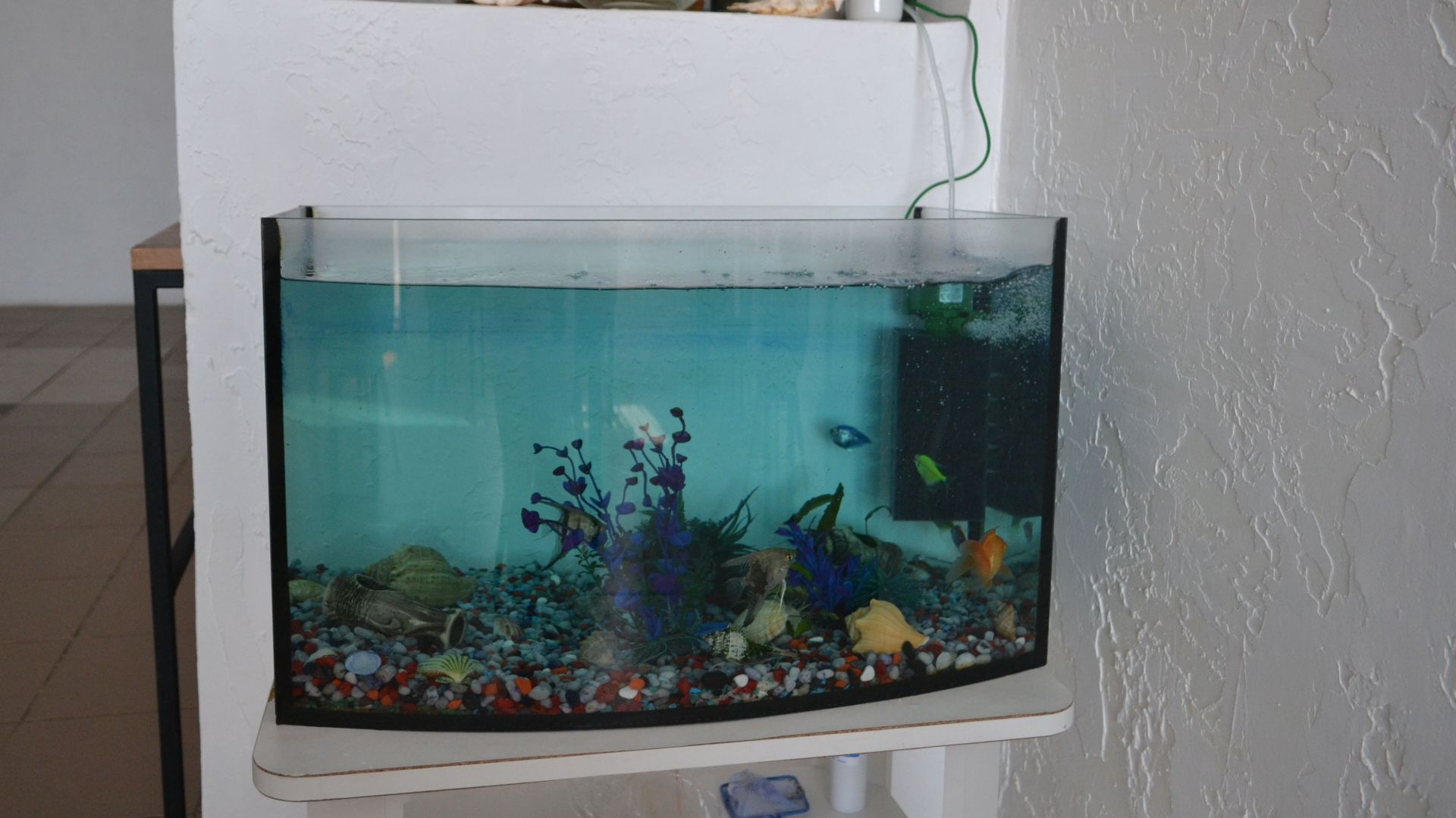 «Семейный очаг» - пусть каждый почувствует себя, как дома