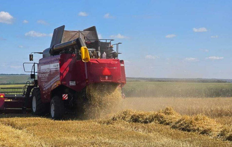 В Верхнеуслонском районе подвели итоги уборочной кампании