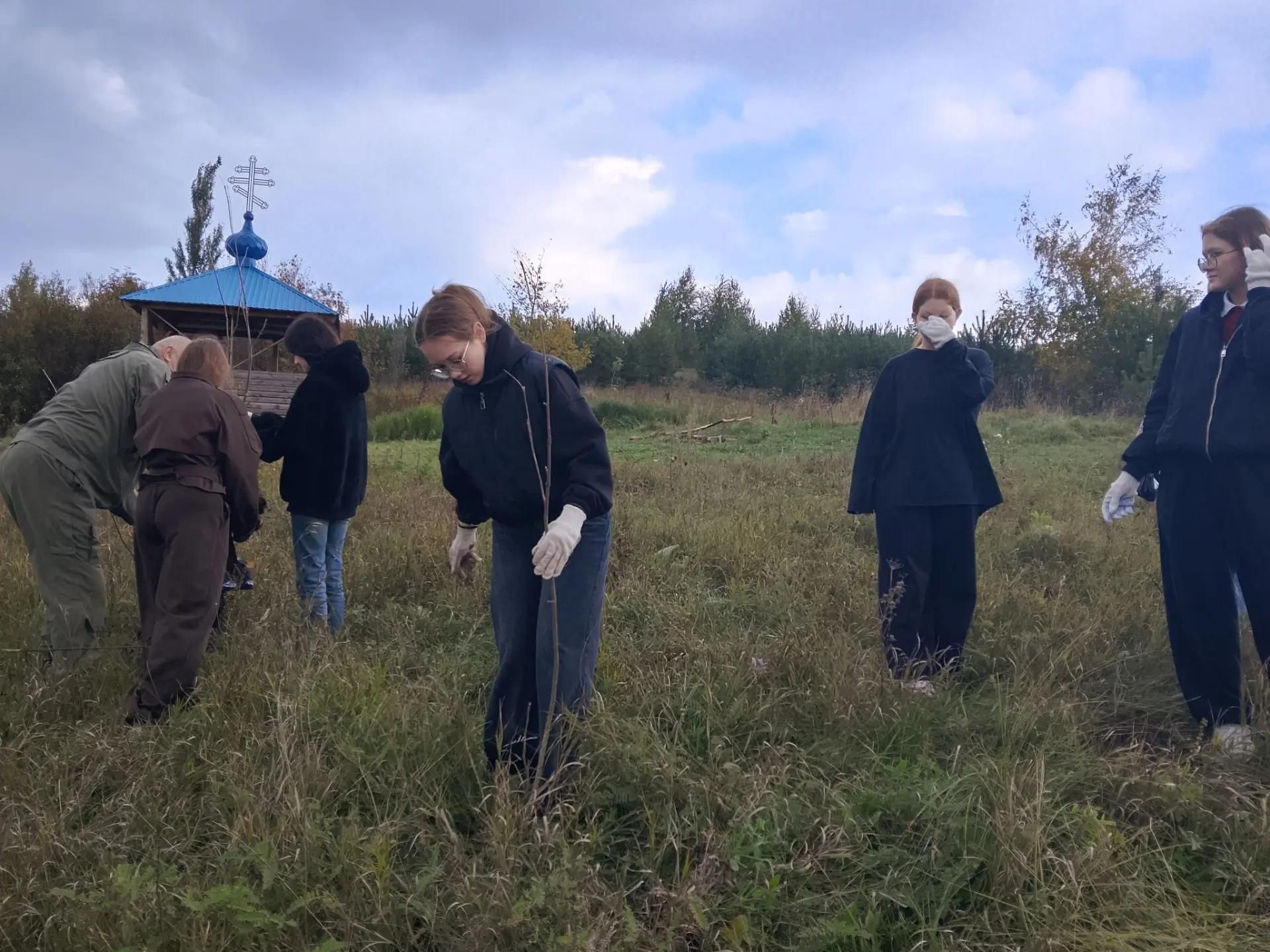 Кураловские школьники благоустроили родник и высадили 23 дерева