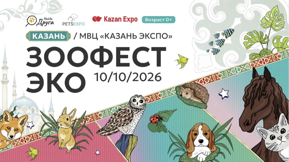 На «Зоофесте Эко» в Казани покажут работу собак-помощников