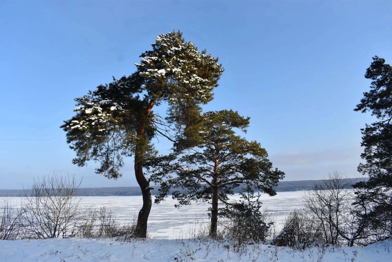 Прощеное воскресенье и Панкратий Ладанник: приметы 22 февраля 2026