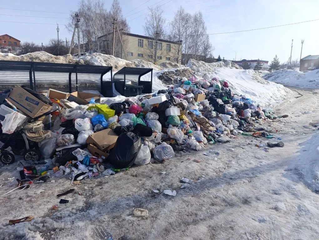 Мусорный коллапс в Верхнеуслонском районе: регоператор подвел