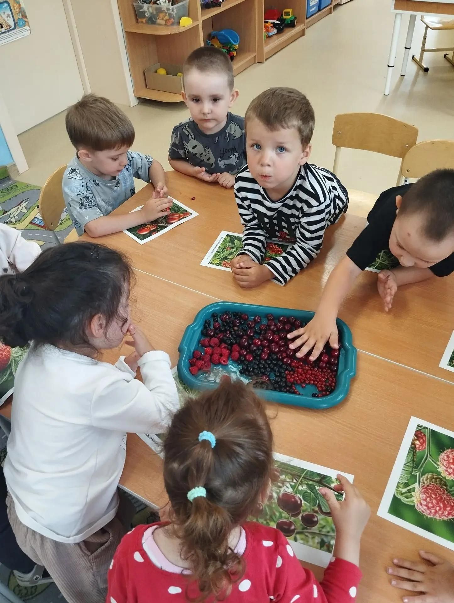 «Каенкай»да җиләкле җәйне яраталар