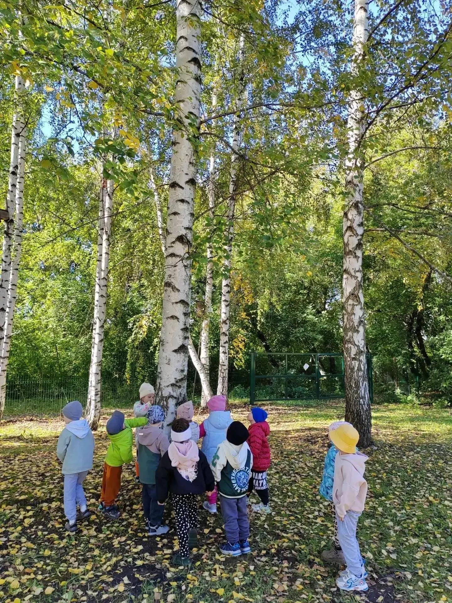 Балалар көзге урманга сәяхәт кылдылар