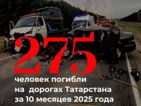 В ДТП Татарстана за 10 месяцев погибли 275 человек