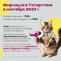 Инфляция в Татарстане в сентябре 2025 года достигла 8,76%