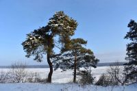 Какой будет погода в Верхнеуслонском районе 16 января 2026 года