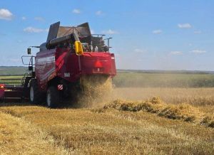 Уборочная кампания в Верхнеуслонском районе выходит на финиш