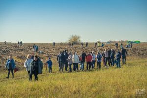 Акция «Сохраним лес» пройдет на 100 площадках Татарстана
