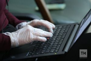 В Татарстане снизилась активность интернет-мошенников