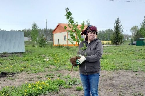 Россиядә “Хәтер бакчасы” акциясе бара