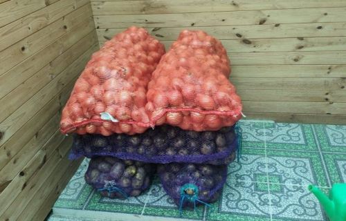 Татарстанда гөшер сәдакасы җыю башланды