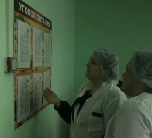 Макыл мәктәбендә ата-аналар балаларның туклану сыйфатын тикшерделәр
