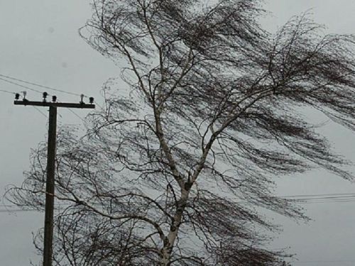 Прогноз погоды на 12 ноября 2023 года