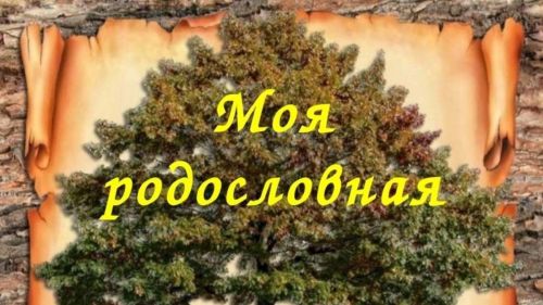 Верхнеуслонцев приглашают принять участие в конкурсе «Моя родословная»