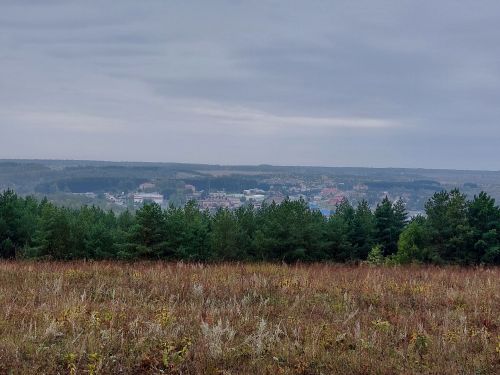 Народные приметы на 21 апреля 2023 года