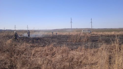 МЧС предупреждает: сжигание старой травы может привести к большому пожару