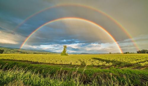 Прогноз погоды на 30 мая 2023 года