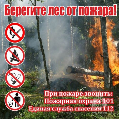 В Татарстане вновь продлили штормовое предупреждение о высокой пожароопасности лесов