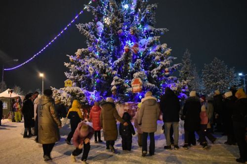 Новогодний концерт прошел у главной елки в Верхнем Услоне