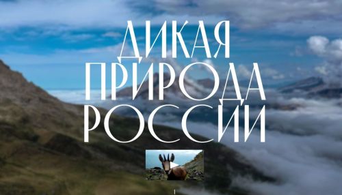 Путин объявил о запуске нового сайта о заповедниках России