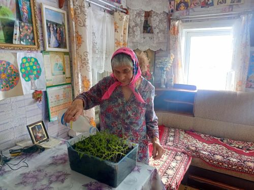 Соцработники в Верхнеуслонском районе применяют в работе гарденотерапию