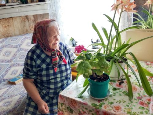 Соцработники в Верхнеуслонском районе применяют в работе гарденотерапию