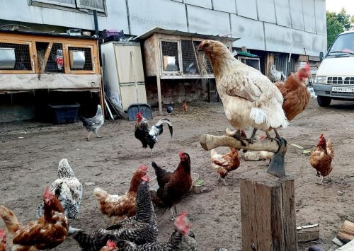 Народные приметы на 22 июня 2024 года: что нельзя делать в этот день
