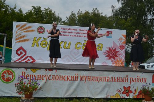 В Канаше отметили праздник осеннего пива «Керхи сара»