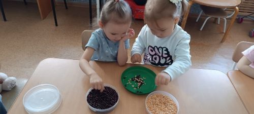 “Салават күпере” балалары фән белән кызыксына