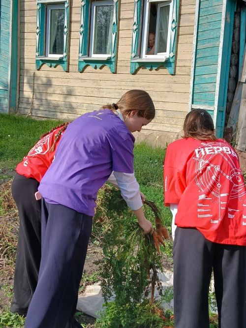Акция «Трудовой десант» для пожилых в Верхнеуслонском районе