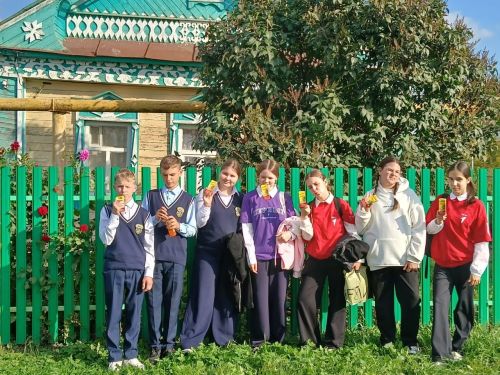 Акция «Трудовой десант» для пожилых в Верхнеуслонском районе