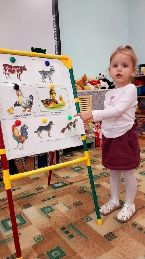 “Салават күпере” балалар бакчасында йорт хайваннары дөньясы белән таныштылар