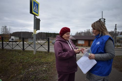 В Верхнем Услоне прошла акция «Пешеход»