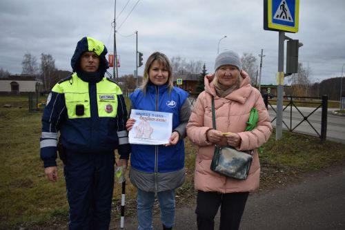 В Верхнем Услоне прошла акция «Пешеход»