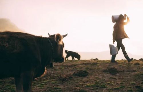 Народные приметы и праздники 7 ноября: что нельзя делать