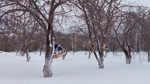 Минин день 23 декабря: традиции, запреты и необычные праздники