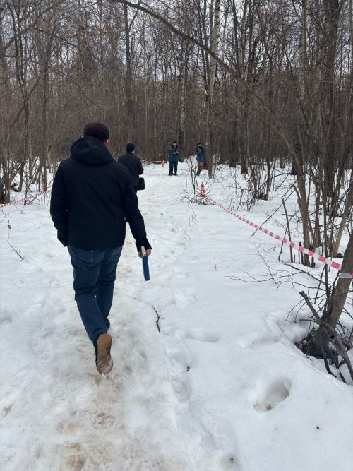В Верхнем Услоне приступили к поискам тела убитой девушки из Челябинской области