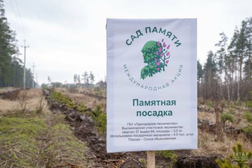 В Татарстане перенесли дату посадки деревьев в рамках акции «Сад памяти»