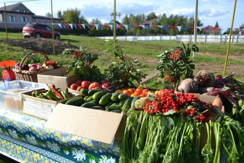 Праздники и приметы на 27 мая 2025 года