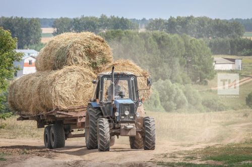 28 июня 2025 года: народные приметы, традиции и запреты