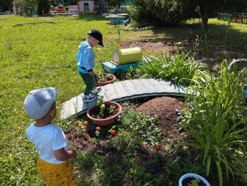 «Каенкай» балалар бакчасында бөҗәкләр дөньясын өйрәнделәр