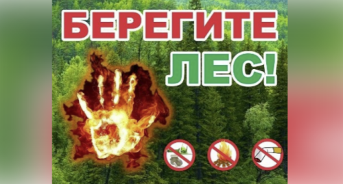 В Татарстане объявлено штормовое предупреждение из-за угрозы лесных пожаров