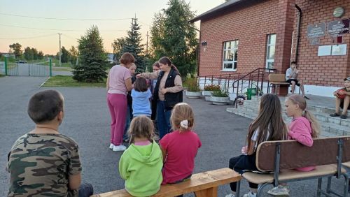 Дружба и фантазия: в Кильдееве прошел праздник для детей на свежем воздухе